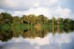 Zentralafrikanische Republik - Kongo: Regenwaldexpedition - Safari am Flussufer